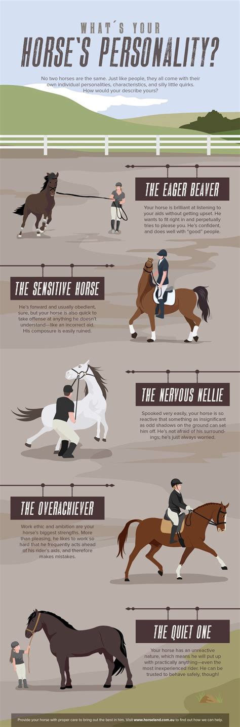 how to handle a horse